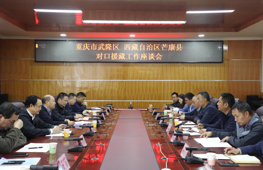 考察调研期间,双方召开了援藏工作座谈会,齐应海代表