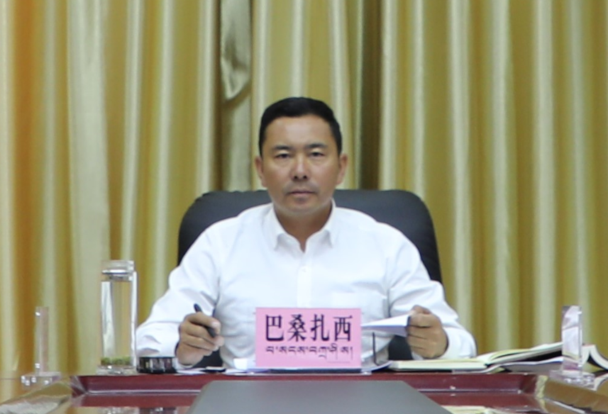 巴桑扎西以普通党员身份参加政府办党支部党史学习教育专题组织生活会